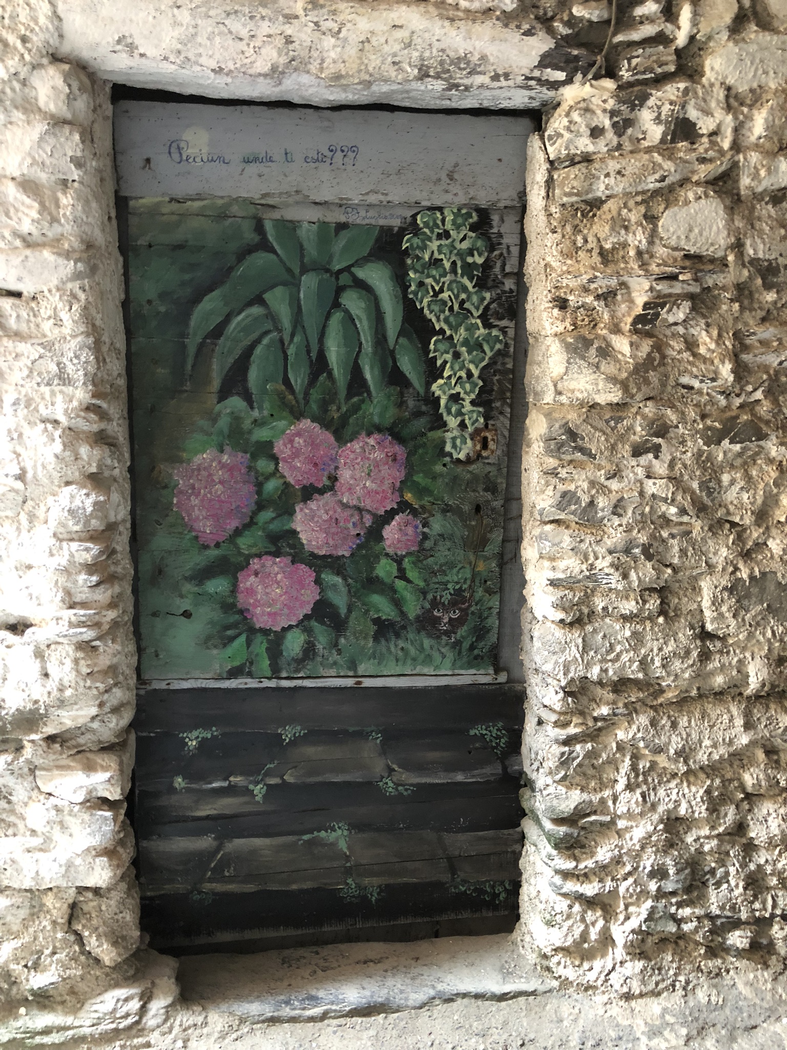 A beautiful paintig of flowers painted beautifully onto a door of derelict, boarded up house in the beautiful Italian medieval village of Pigna